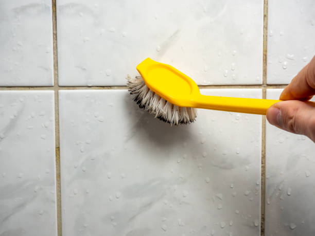 Best Fast Mold Removal  in Sewell, NJ
