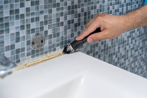 Best Black Mold Removal  in Sewell, NJ