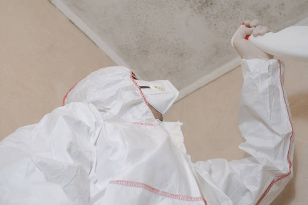 Best Mold Removal Process  in Sewell, NJ
